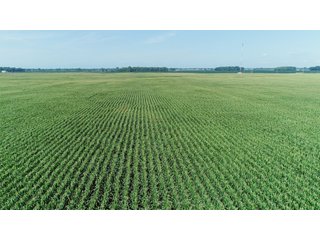 Farmland in Fulton & Marshall Counties, Indiana - LAND AUCTION - 541.3+/- ACRES IN 9 TRACTS IN FULTON & MARSHALL COUNTIES, INDIANA